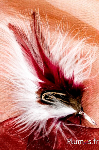 Composition coq-faisan -  12 cm x 3 cm - blanc-bordeaux
